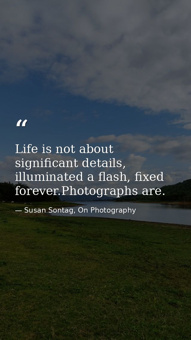 Life is not about significant details, illuminated a flash, fixed forever.Photographs are. — Susan Sontag, On Photography