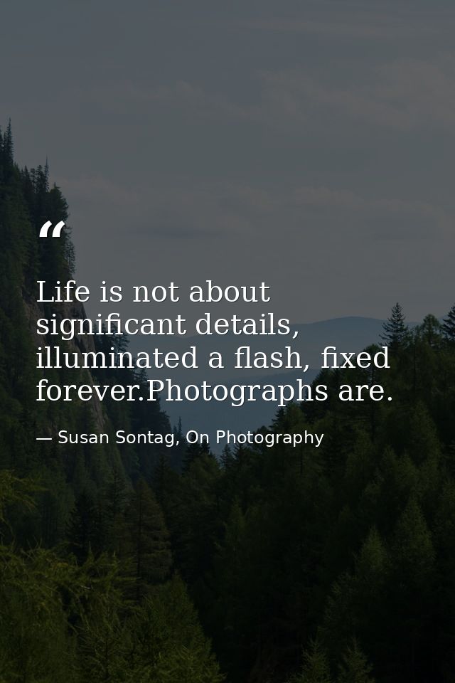 Life is not about significant details, illuminated a flash, fixed forever.Photographs are. — Susan Sontag, On Photography