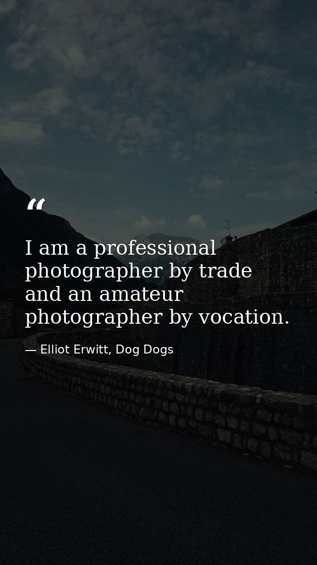 I am a professional photographer by trade and an amateur photographer by vocation. — Elliot Erwitt, Dog Dogs