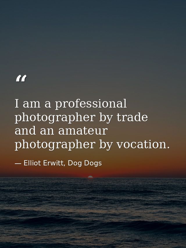 I am a professional photographer by trade and an amateur photographer by vocation. — Elliot Erwitt, Dog Dogs