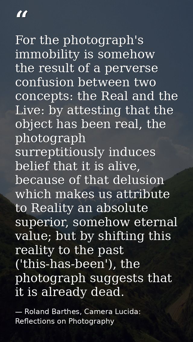 For the photograph's immobility is somehow the result of a perverse confusion between two concepts: the Real and the Liv — Roland Barthes, Camera Lucida: Reflections on Photography
