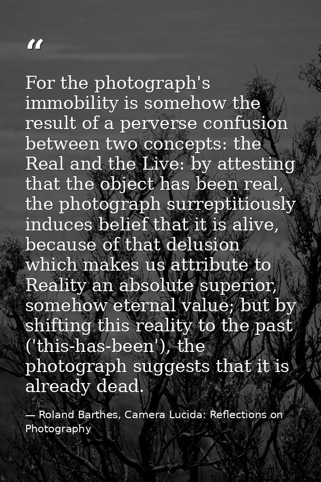 For the photograph's immobility is somehow the result of a perverse confusion between two concepts: the Real and the Liv — Roland Barthes, Camera Lucida: Reflections on Photography