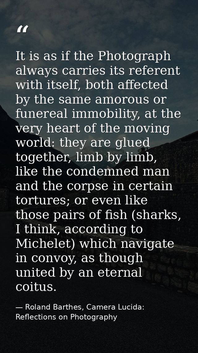 It is as if the Photograph always carries its referent with itself, both affected by the same amorous or funereal immobi — Roland Barthes, Camera Lucida: Reflections on Photography