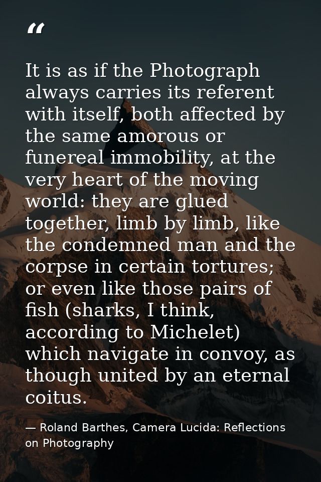 It is as if the Photograph always carries its referent with itself, both affected by the same amorous or funereal immobi — Roland Barthes, Camera Lucida: Reflections on Photography