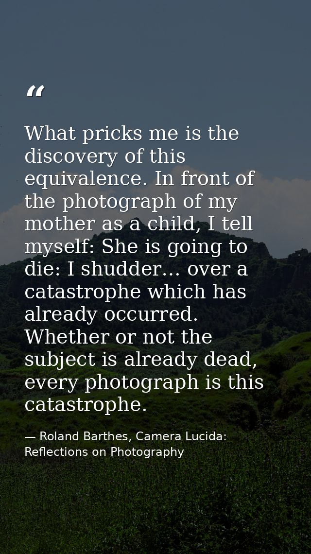 What pricks me is the discovery of this equivalence. In front of the photograph of my mother as a child, I tell myself:  — Roland Barthes, Camera Lucida: Reflections on Photography