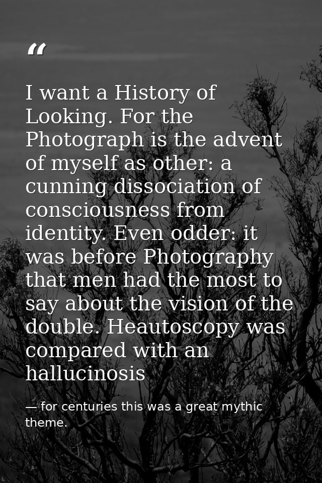 I want a History of Looking. For the Photograph is the advent of myself as other: a cunning dissociation of consciousnes — for centuries this was a great mythic theme.