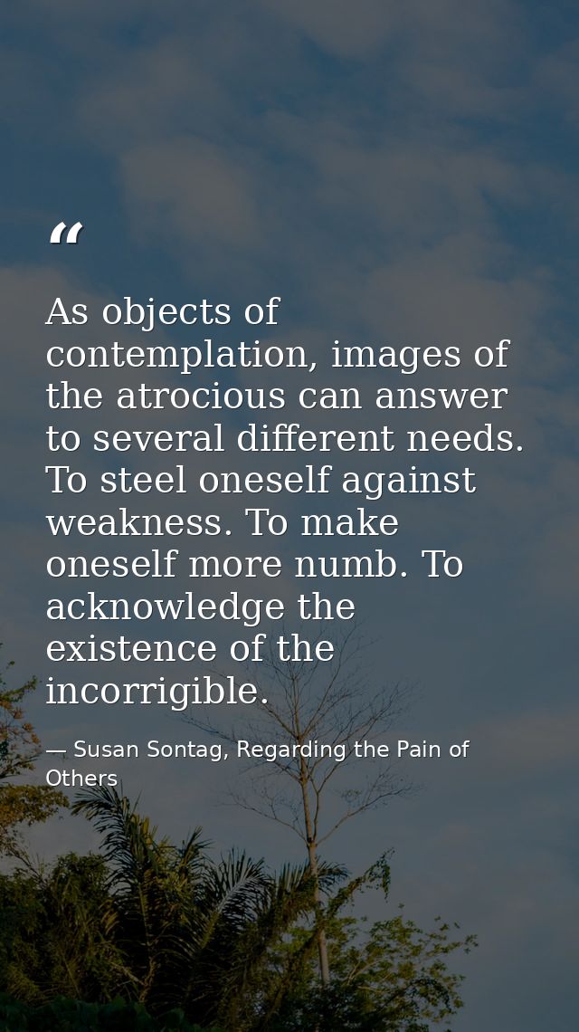 As objects of contemplation, images of the atrocious can answer to several different needs. To steel oneself against wea — Susan Sontag, Regarding the Pain of Others