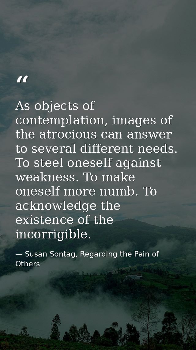 As objects of contemplation, images of the atrocious can answer to several different needs. To steel oneself against wea — Susan Sontag, Regarding the Pain of Others