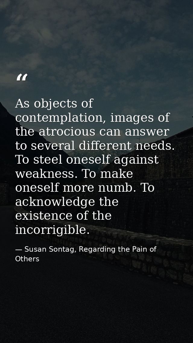 As objects of contemplation, images of the atrocious can answer to several different needs. To steel oneself against wea — Susan Sontag, Regarding the Pain of Others