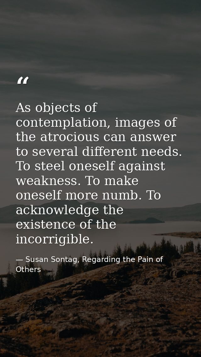 As objects of contemplation, images of the atrocious can answer to several different needs. To steel oneself against wea — Susan Sontag, Regarding the Pain of Others