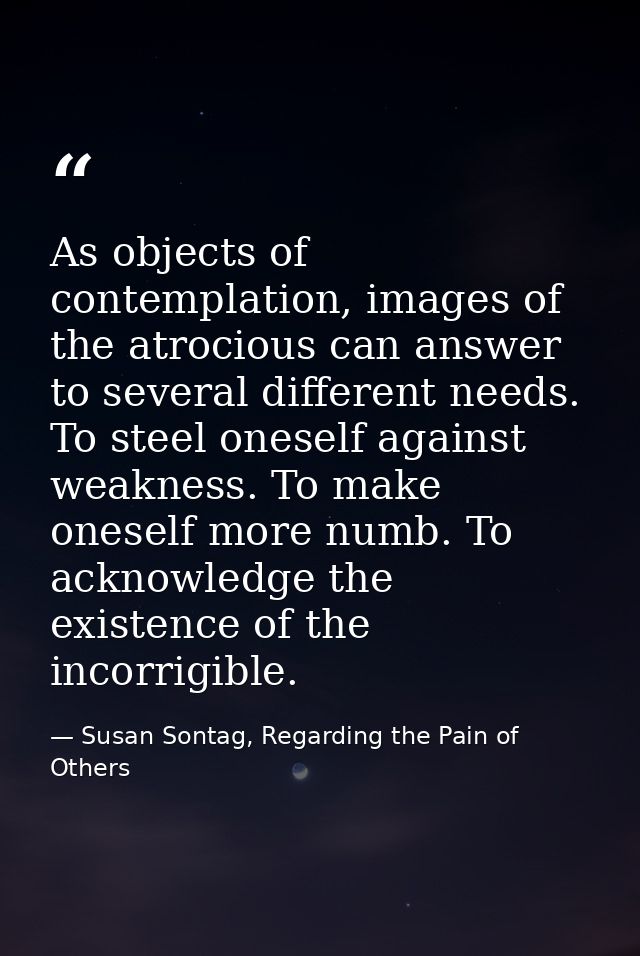 As objects of contemplation, images of the atrocious can answer to several different needs. To steel oneself against wea — Susan Sontag, Regarding the Pain of Others