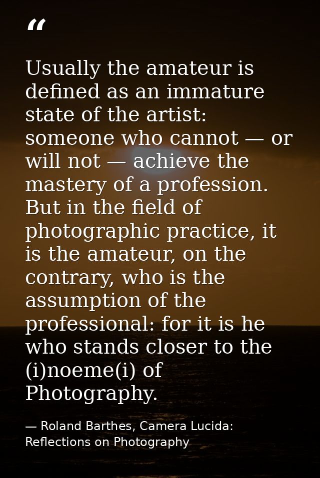 Usually the amateur is defined as an immature state of the artist: someone who cannot — or will not — achieve the master — Roland Barthes, Camera Lucida: Reflections on Photography