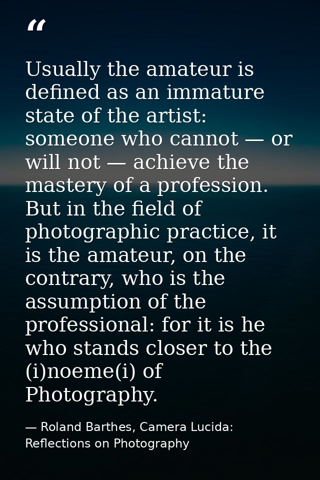 Usually the amateur is defined as an immature state of the artist: someone who cannot — or will not — achieve the master — Roland Barthes, Camera Lucida: Reflections on Photography