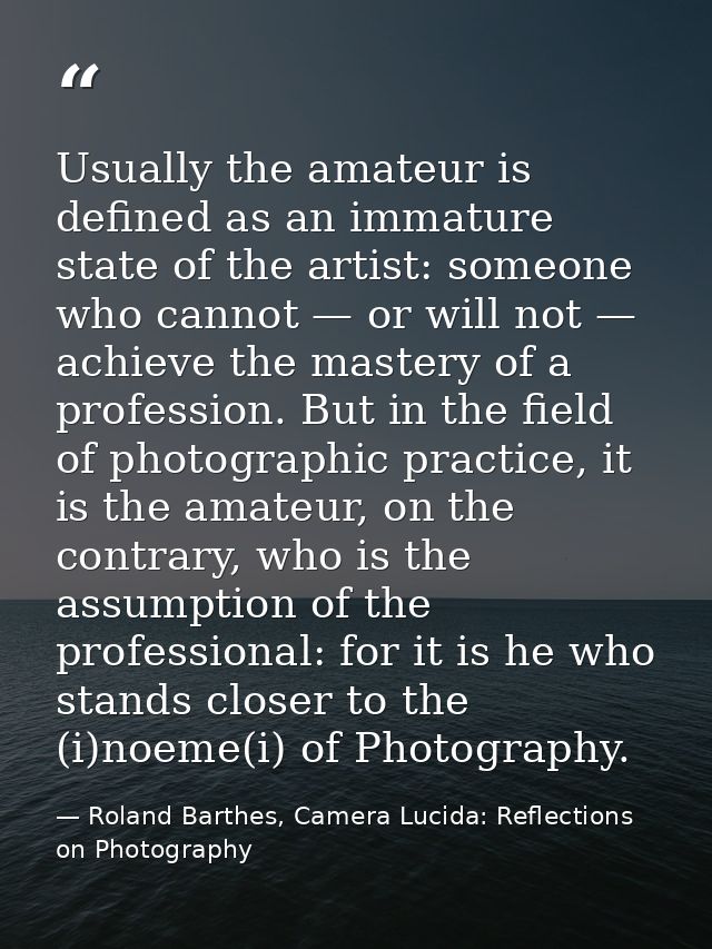 Usually the amateur is defined as an immature state of the artist: someone who cannot — or will not — achieve the master — Roland Barthes, Camera Lucida: Reflections on Photography