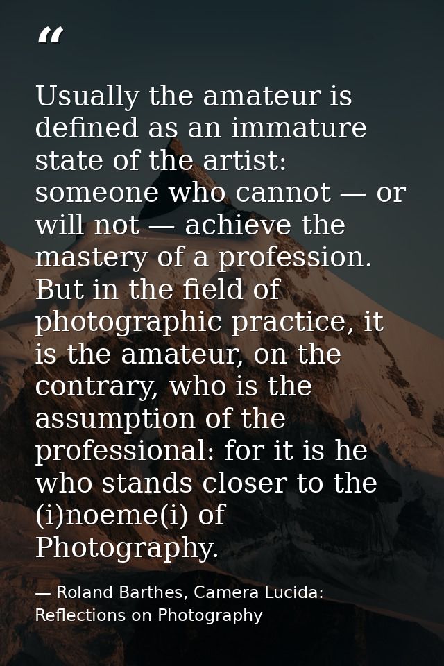 Usually the amateur is defined as an immature state of the artist: someone who cannot — or will not — achieve the master — Roland Barthes, Camera Lucida: Reflections on Photography
