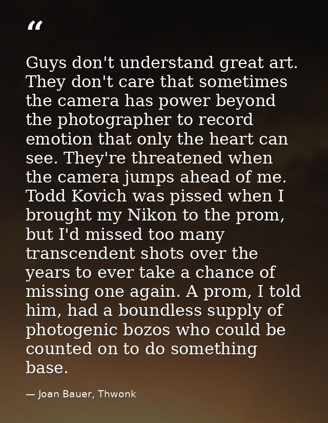 Guys don't understand great art. They don't care that sometimes the camera has power beyond the photographer to record e — Joan Bauer, Thwonk