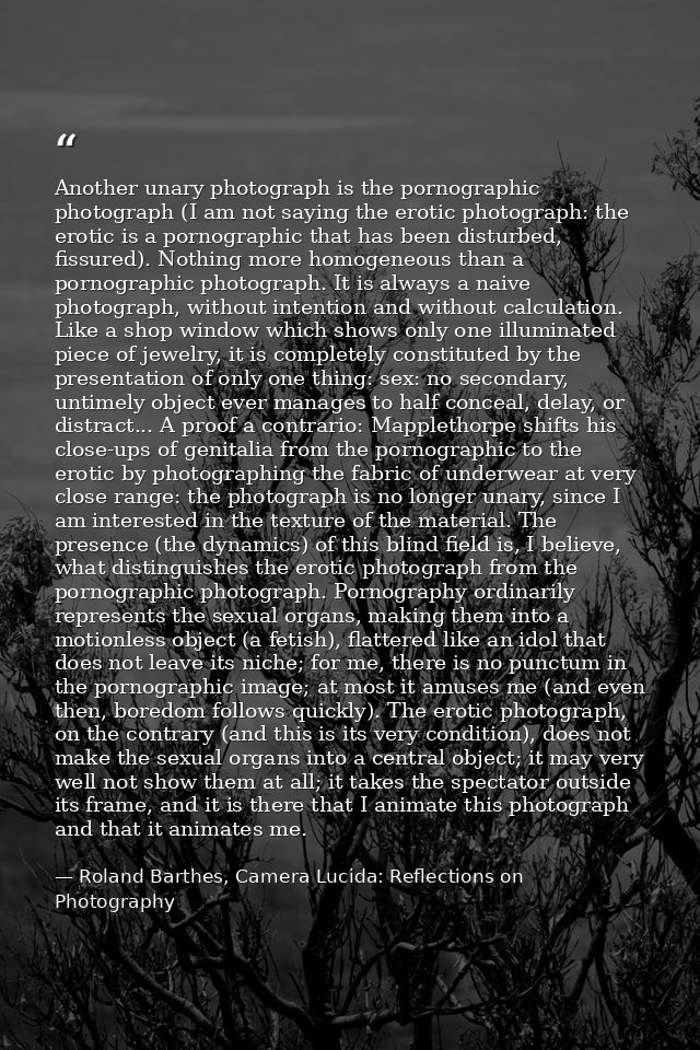 Another unary photograph is the pornographic photograph (I am not saying the erotic photograph: the erotic is a pornogra — Roland Barthes, Camera Lucida: Reflections on Photography