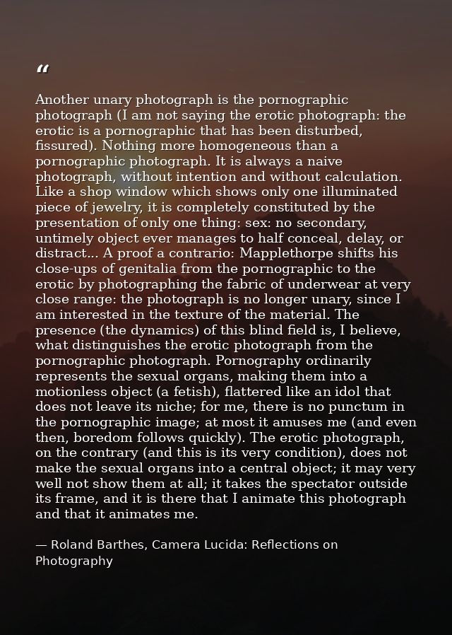 Another unary photograph is the pornographic photograph (I am not saying the erotic photograph: the erotic is a pornogra — Roland Barthes, Camera Lucida: Reflections on Photography