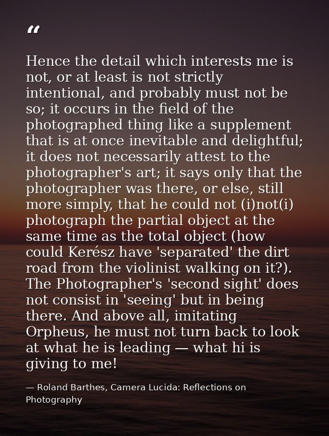 Hence the detail which interests me is not, or at least is not strictly intentional, and probably must not be so; it occ — Roland Barthes, Camera Lucida: Reflections on Photography