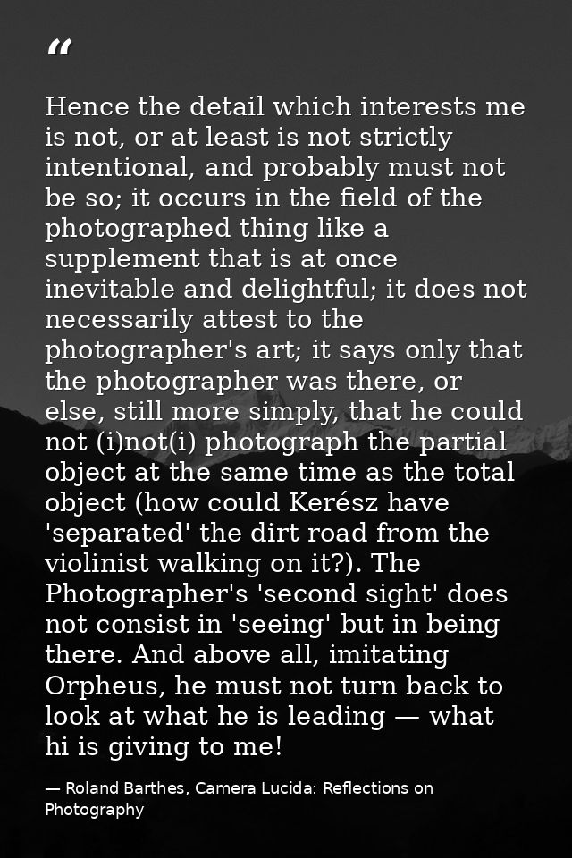 Hence the detail which interests me is not, or at least is not strictly intentional, and probably must not be so; it occ — Roland Barthes, Camera Lucida: Reflections on Photography