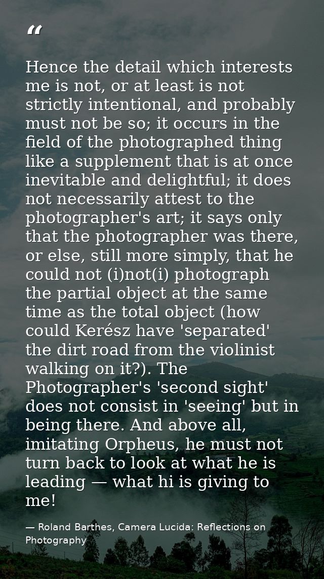 Hence the detail which interests me is not, or at least is not strictly intentional, and probably must not be so; it occ — Roland Barthes, Camera Lucida: Reflections on Photography