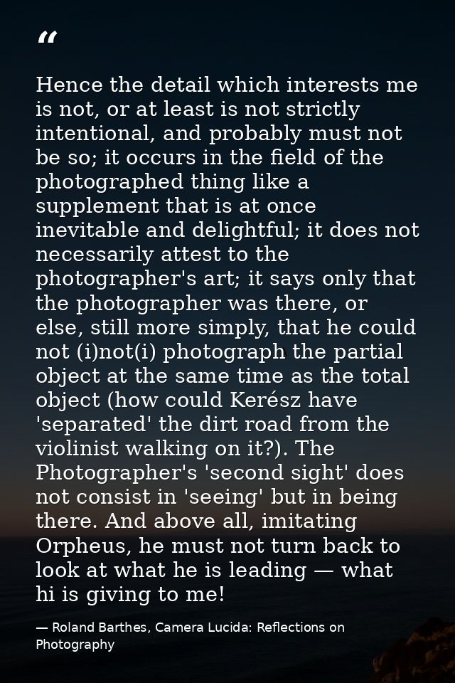 Hence the detail which interests me is not, or at least is not strictly intentional, and probably must not be so; it occ — Roland Barthes, Camera Lucida: Reflections on Photography