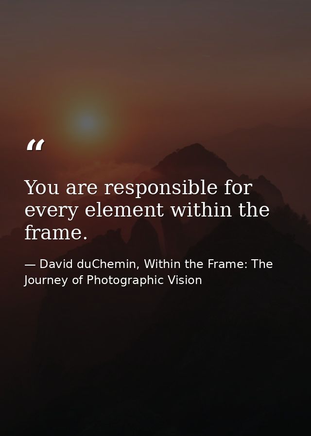 You are responsible for every element within the frame. — David duChemin, Within the Frame: The Journey of Photographic Vision