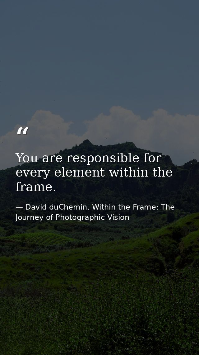 You are responsible for every element within the frame. — David duChemin, Within the Frame: The Journey of Photographic Vision