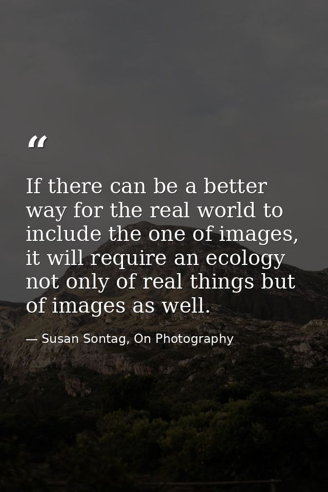 If there can be a better way for the real world to include the one of images, it will require an ecology not only of rea — Susan Sontag, On Photography