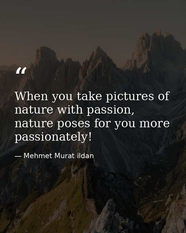 When you take pictures of nature with passion, nature poses for you more passionately! — Mehmet Murat ildan
