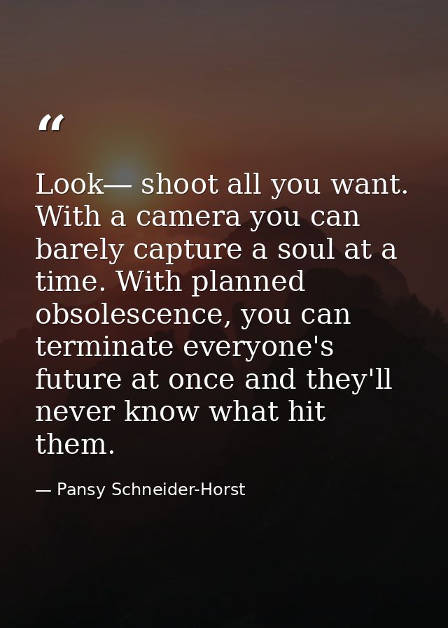 Look― shoot all you want. With a camera you can barely capture a soul at a time. With planned obsolescence, you can term — Pansy Schneider-Horst
