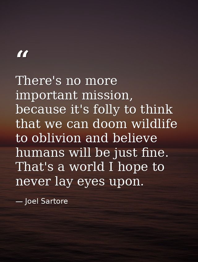 There's no more important mission, because it's folly to think that we can doom wildlife to oblivion and believe humans  — Joel Sartore