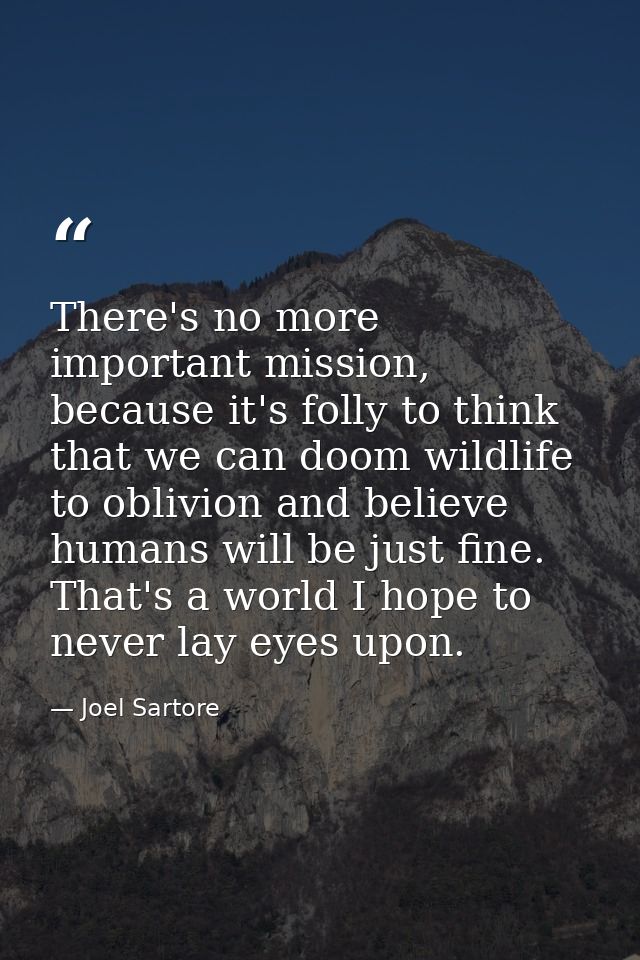 There's no more important mission, because it's folly to think that we can doom wildlife to oblivion and believe humans  — Joel Sartore