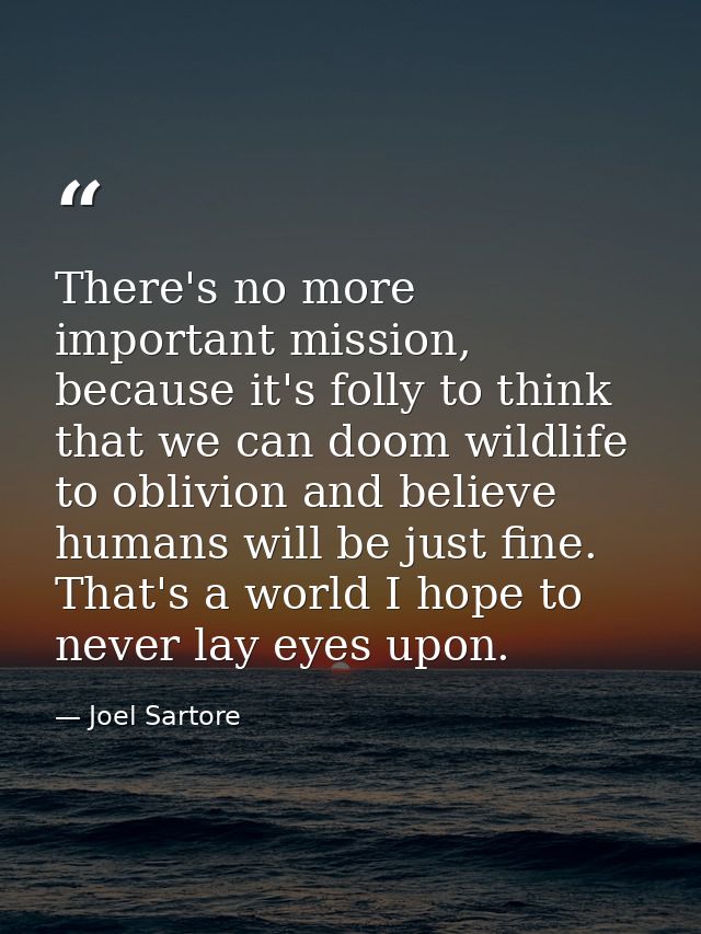 There's no more important mission, because it's folly to think that we can doom wildlife to oblivion and believe humans  — Joel Sartore