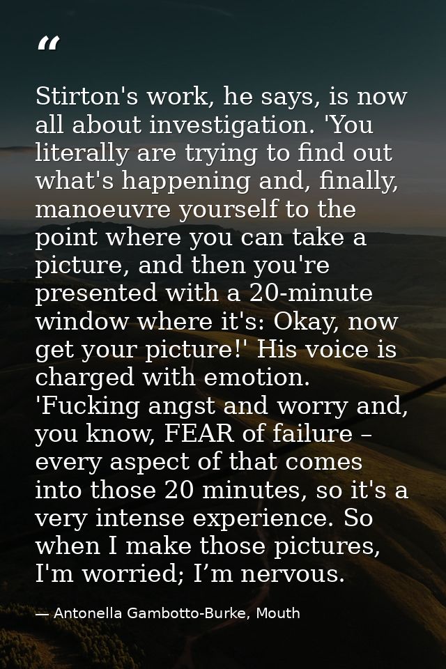 Stirton's work, he says, is now all about investigation. 'You literally are trying to find out what's happening and, fin — Antonella Gambotto-Burke, Mouth