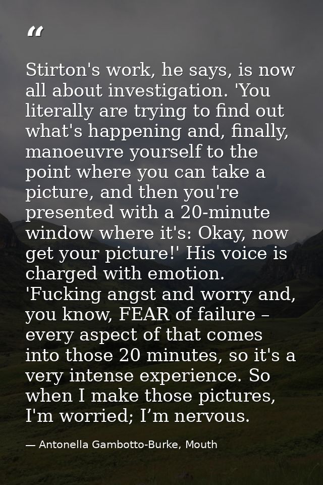 Stirton's work, he says, is now all about investigation. 'You literally are trying to find out what's happening and, fin — Antonella Gambotto-Burke, Mouth