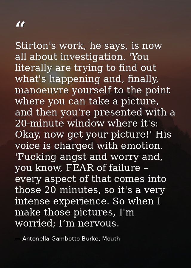 Stirton's work, he says, is now all about investigation. 'You literally are trying to find out what's happening and, fin — Antonella Gambotto-Burke, Mouth