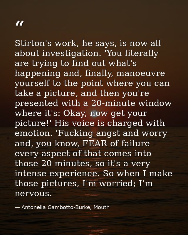Stirton's work, he says, is now all about investigation. 'You literally are trying to find out what's happening and, fin — Antonella Gambotto-Burke, Mouth