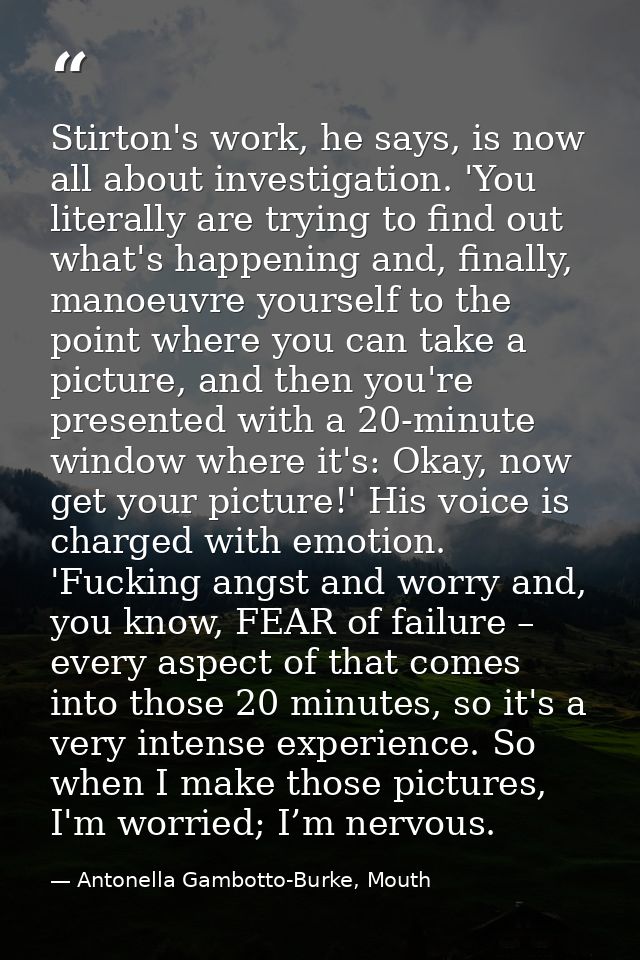 Stirton's work, he says, is now all about investigation. 'You literally are trying to find out what's happening and, fin — Antonella Gambotto-Burke, Mouth