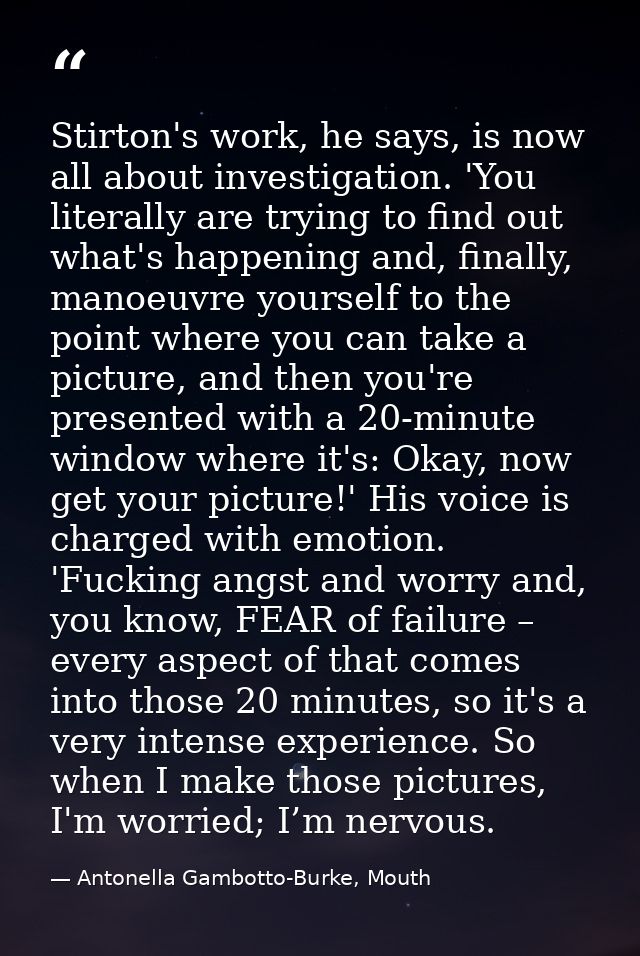 Stirton's work, he says, is now all about investigation. 'You literally are trying to find out what's happening and, fin — Antonella Gambotto-Burke, Mouth