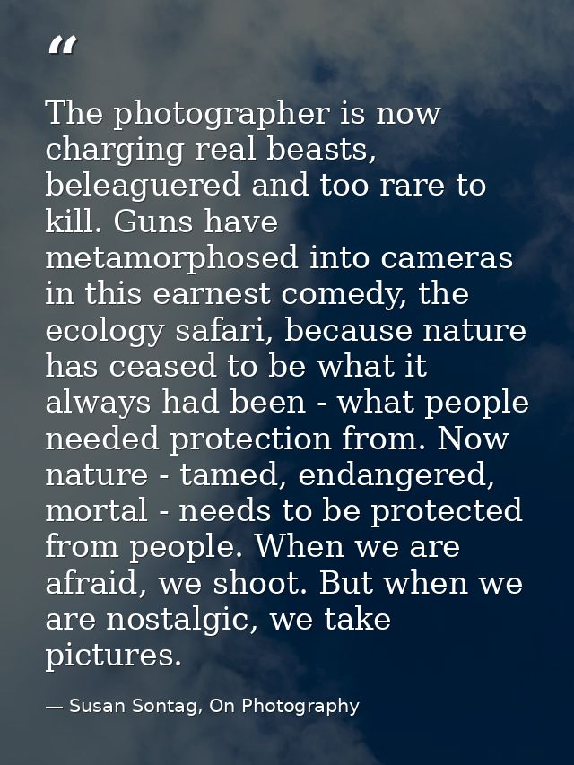 The photographer is now charging real beasts, beleaguered and too rare to kill. Guns have metamorphosed into cameras in  — Susan Sontag, On Photography