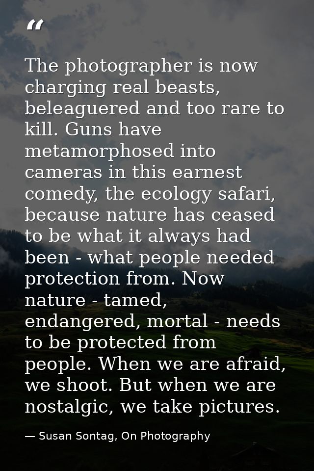 The photographer is now charging real beasts, beleaguered and too rare to kill. Guns have metamorphosed into cameras in  — Susan Sontag, On Photography