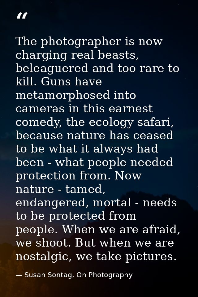 The photographer is now charging real beasts, beleaguered and too rare to kill. Guns have metamorphosed into cameras in  — Susan Sontag, On Photography