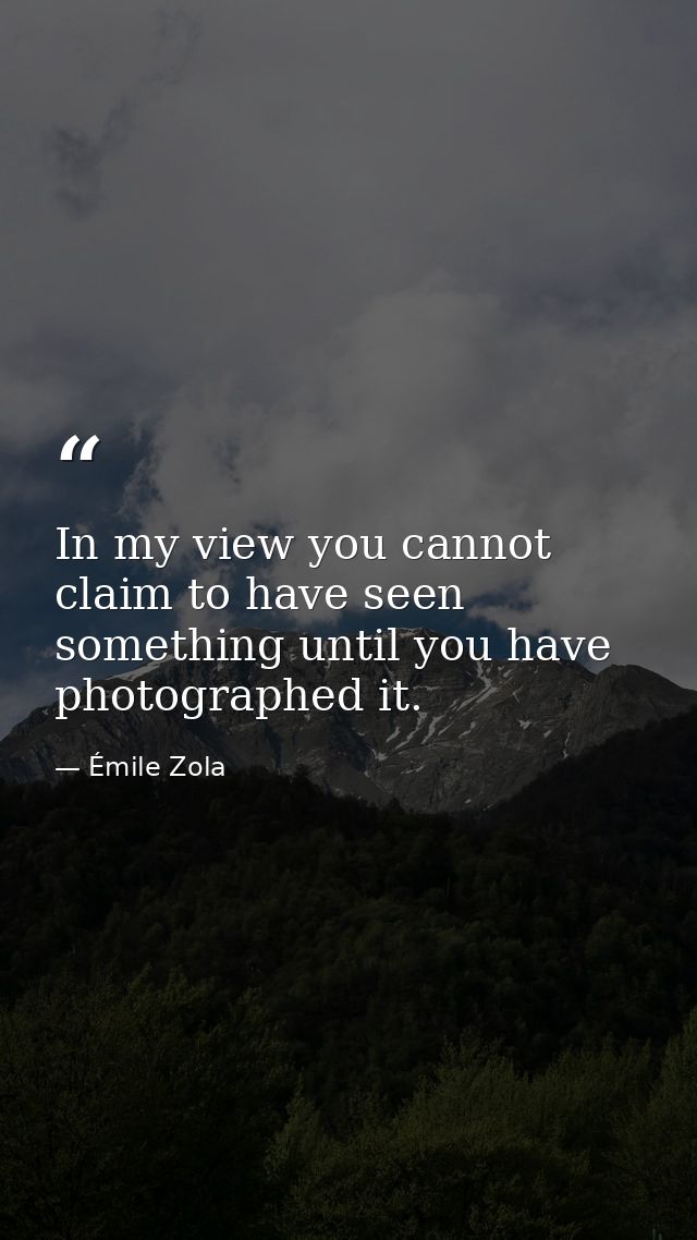 In my view you cannot claim to have seen something until you have photographed it. — Émile Zola