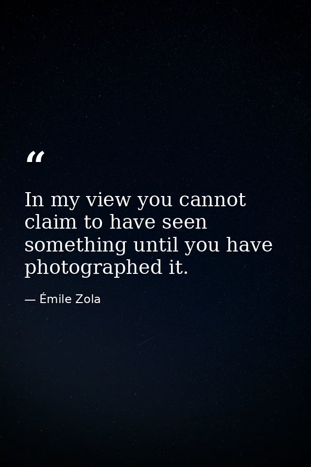 In my view you cannot claim to have seen something until you have photographed it. — Émile Zola