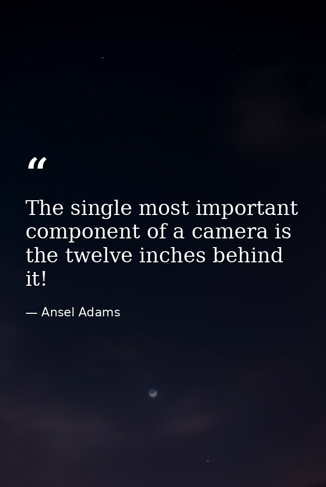 The single most important component of a camera is the twelve inches behind it! — Ansel Adams