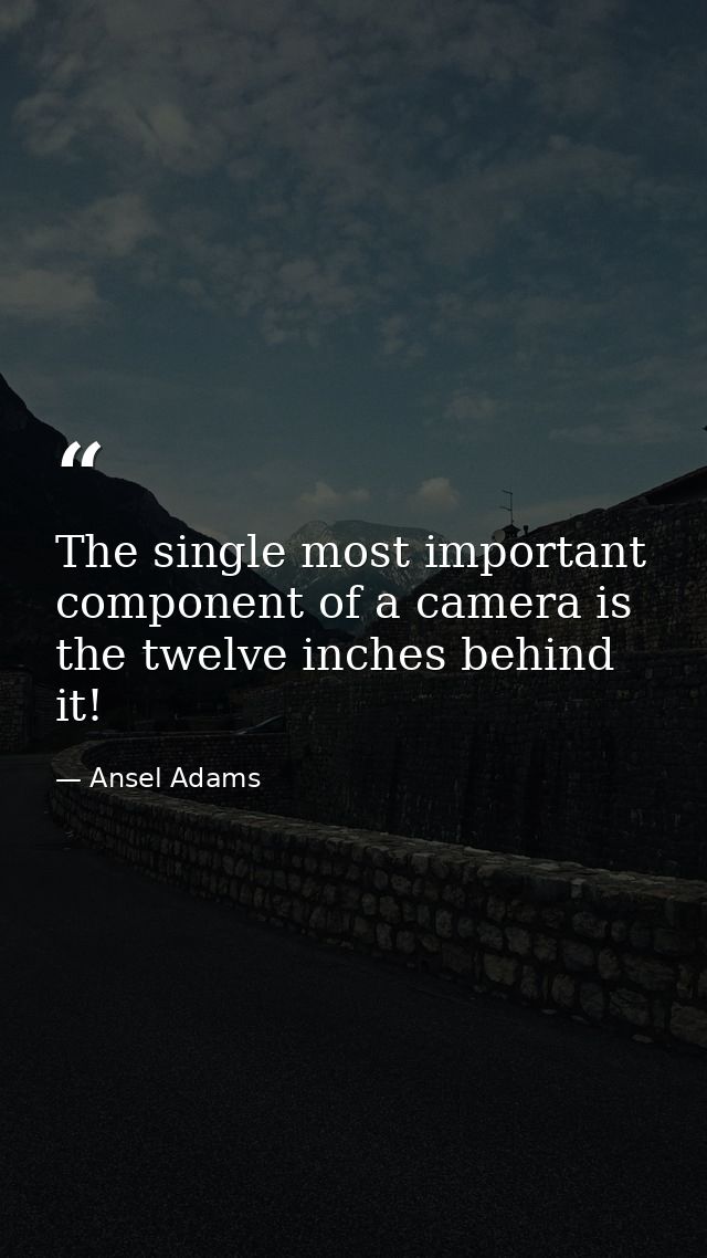 The single most important component of a camera is the twelve inches behind it! — Ansel Adams