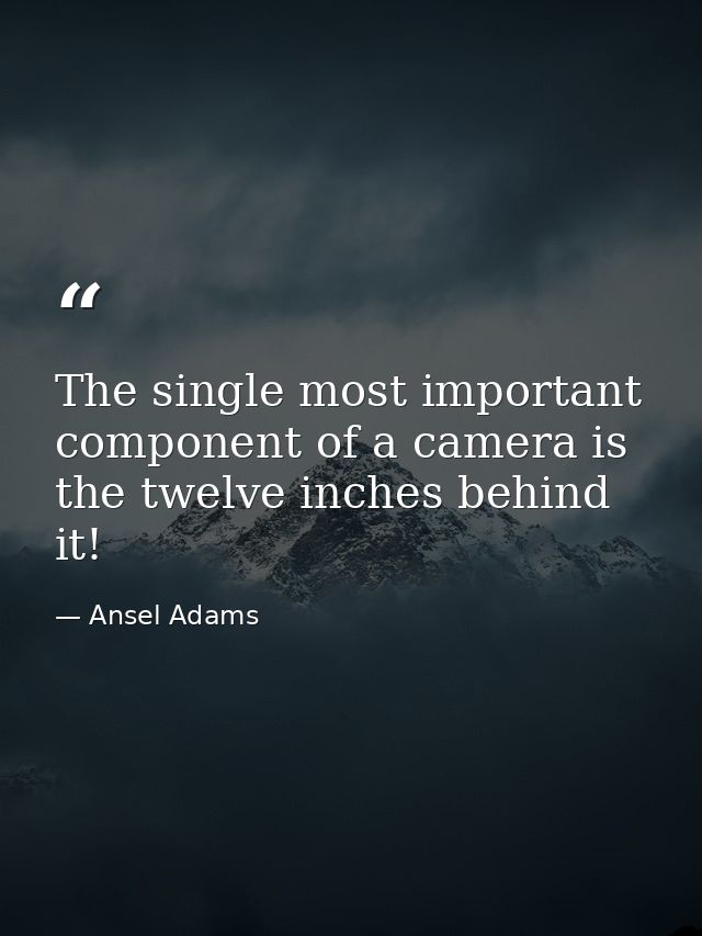 The single most important component of a camera is the twelve inches behind it! — Ansel Adams