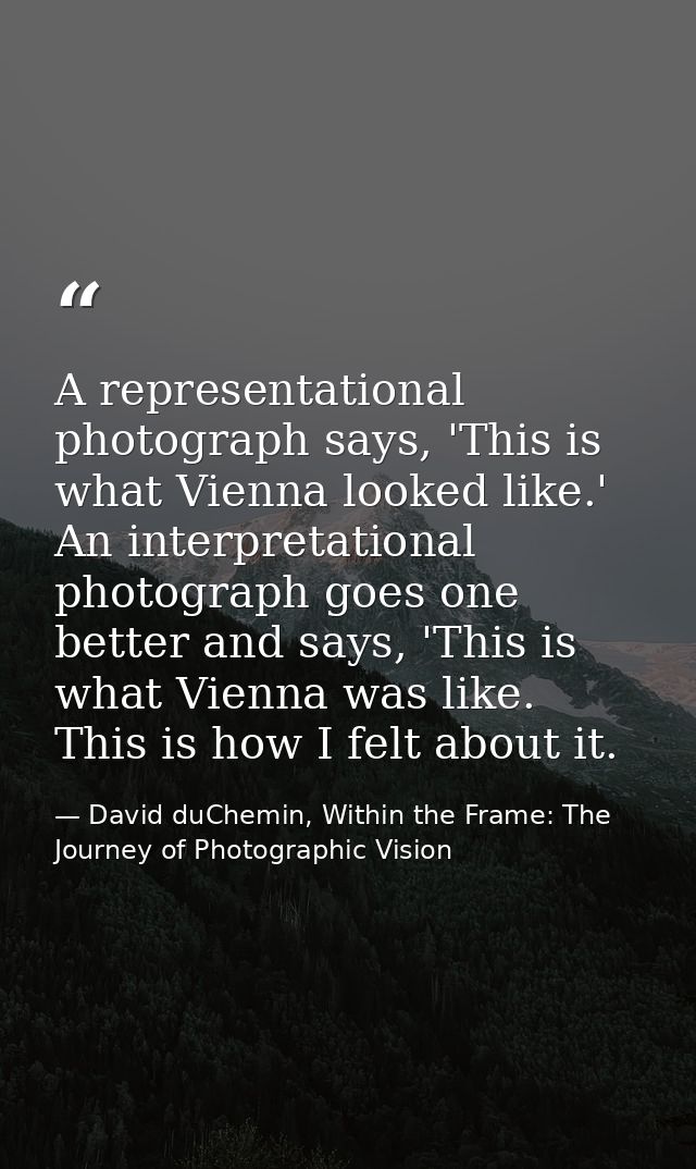 A representational photograph says, 'This is what Vienna looked like.' An interpretational photograph goes one better an — David duChemin, Within the Frame: The Journey of Photographic Vision