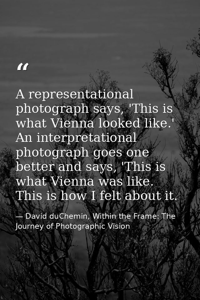 A representational photograph says, 'This is what Vienna looked like.' An interpretational photograph goes one better an — David duChemin, Within the Frame: The Journey of Photographic Vision